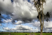 关于史蒂文斯称赞球员——波普弗列斯勇攻大战布拉德利毫不畏惧的信息